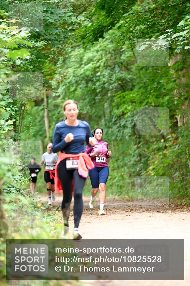 11.10.2026 - Bramfelder Halbmarathon 2026 Dr. Thomas Lammeyer http://msf.ph/oto/10825528 11.10.2026 10:50:23 Laufen 374, 83 meine-sportfotos.de