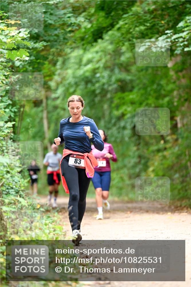 11.10.2026 - Bramfelder Halbmarathon 2026 Dr. Thomas Lammeyer http://msf.ph/oto/10825531 11.10.2026 10:50:23 Laufen 83 meine-sportfotos.de