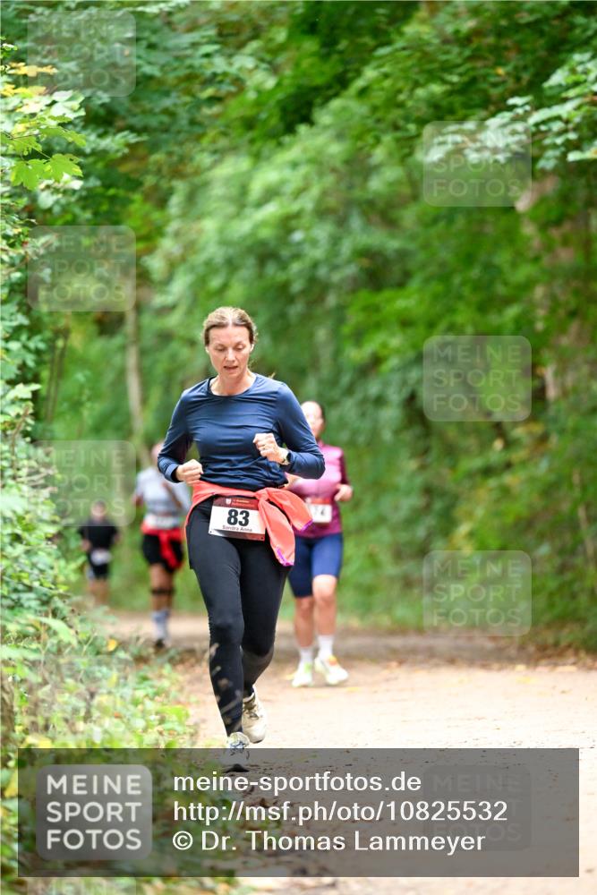 11.10.2026 - Bramfelder Halbmarathon 2026 Dr. Thomas Lammeyer http://msf.ph/oto/10825532 11.10.2026 10:50:23 Laufen 83 meine-sportfotos.de