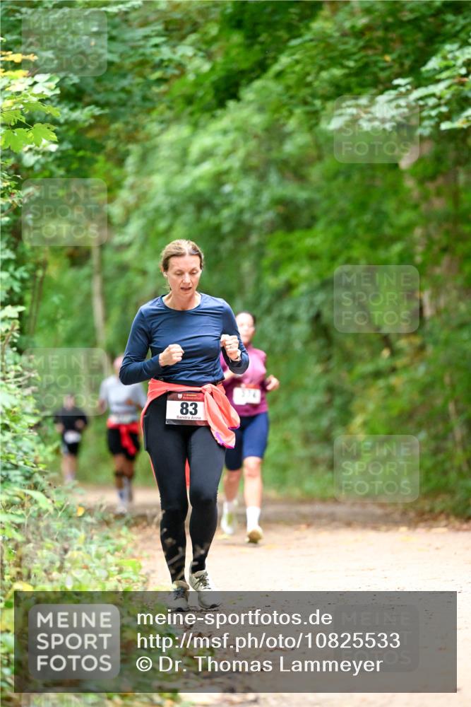 11.10.2026 - Bramfelder Halbmarathon 2026 Dr. Thomas Lammeyer http://msf.ph/oto/10825533 11.10.2026 10:50:23 Laufen 83 meine-sportfotos.de