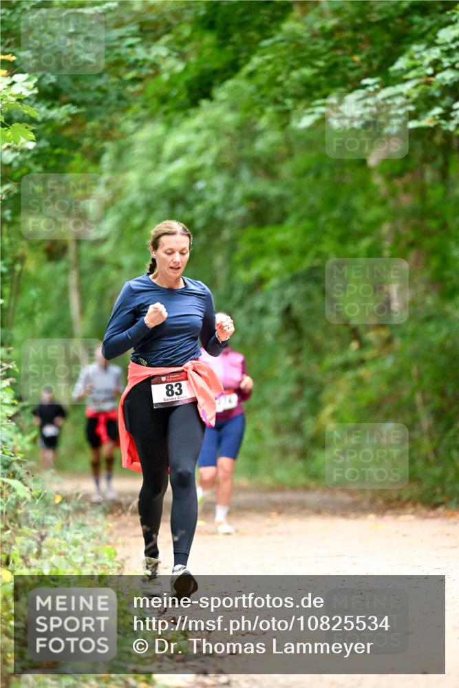 11.10.2026 - Bramfelder Halbmarathon 2026 Dr. Thomas Lammeyer http://msf.ph/oto/10825534 11.10.2026 10:50:23 Laufen 83 meine-sportfotos.de