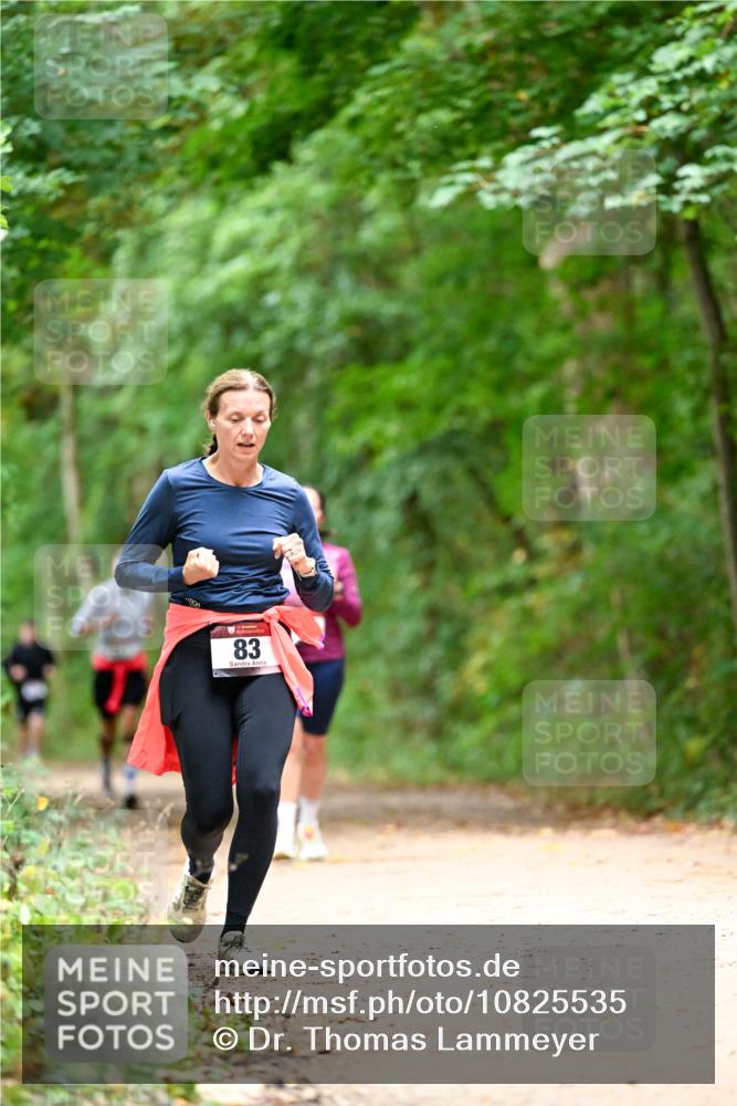 11.10.2026 - Bramfelder Halbmarathon 2026 Dr. Thomas Lammeyer http://msf.ph/oto/10825535 11.10.2026 10:50:24 Laufen 83 meine-sportfotos.de