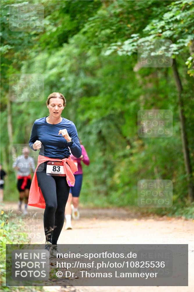 11.10.2026 - Bramfelder Halbmarathon 2026 Dr. Thomas Lammeyer http://msf.ph/oto/10825536 11.10.2026 10:50:24 Laufen 83 meine-sportfotos.de