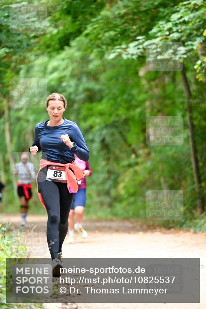 11.10.2026 - Bramfelder Halbmarathon 2026 Dr. Thomas Lammeyer http://msf.ph/oto/10825537 11.10.2026 10:50:24 Laufen 83 meine-sportfotos.de