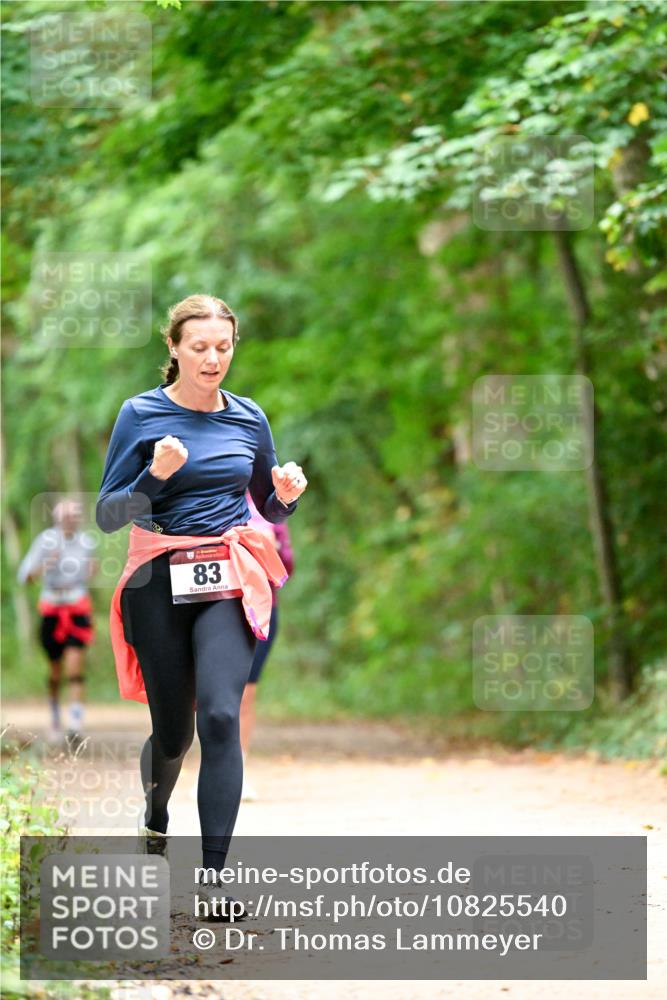 11.10.2026 - Bramfelder Halbmarathon 2026 Dr. Thomas Lammeyer http://msf.ph/oto/10825540 11.10.2026 10:50:24 Laufen 83 meine-sportfotos.de