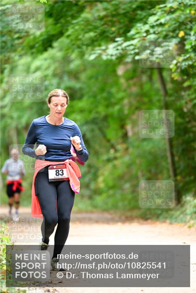 11.10.2026 - Bramfelder Halbmarathon 2026 Dr. Thomas Lammeyer http://msf.ph/oto/10825541 11.10.2026 10:50:24 Laufen 83 meine-sportfotos.de
