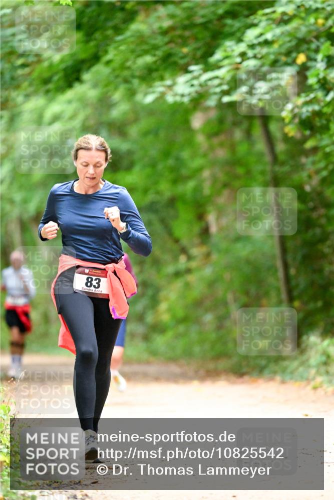 11.10.2026 - Bramfelder Halbmarathon 2026 Dr. Thomas Lammeyer http://msf.ph/oto/10825542 11.10.2026 10:50:24 Laufen 83 meine-sportfotos.de