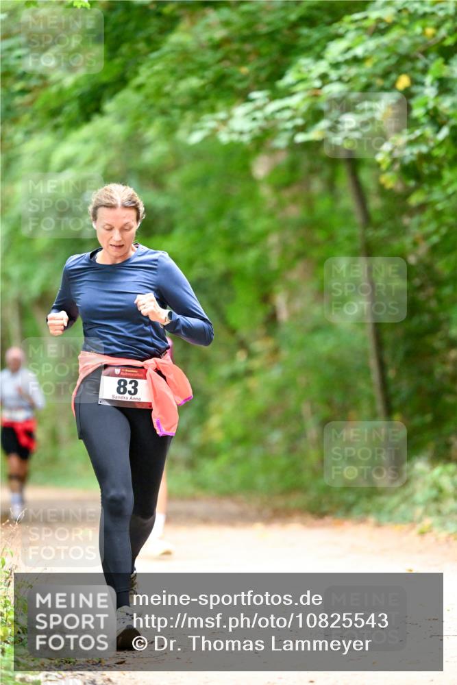 11.10.2026 - Bramfelder Halbmarathon 2026 Dr. Thomas Lammeyer http://msf.ph/oto/10825543 11.10.2026 10:50:25 Laufen 83 meine-sportfotos.de