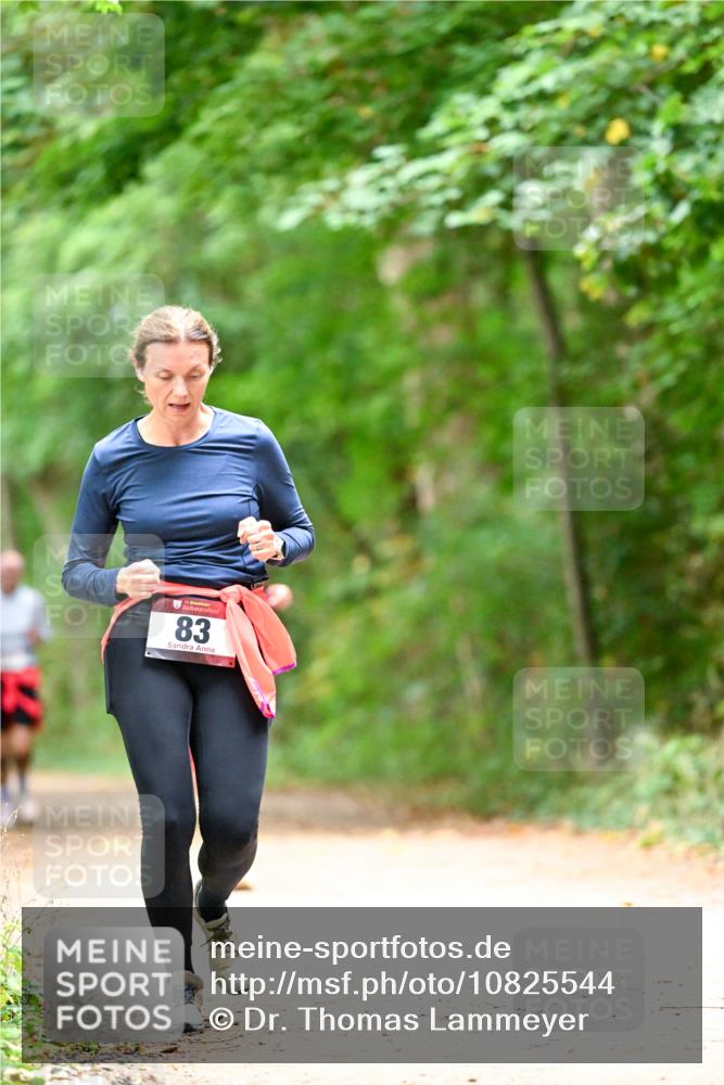 11.10.2026 - Bramfelder Halbmarathon 2026 Dr. Thomas Lammeyer http://msf.ph/oto/10825544 11.10.2026 10:50:25 Laufen 83 meine-sportfotos.de