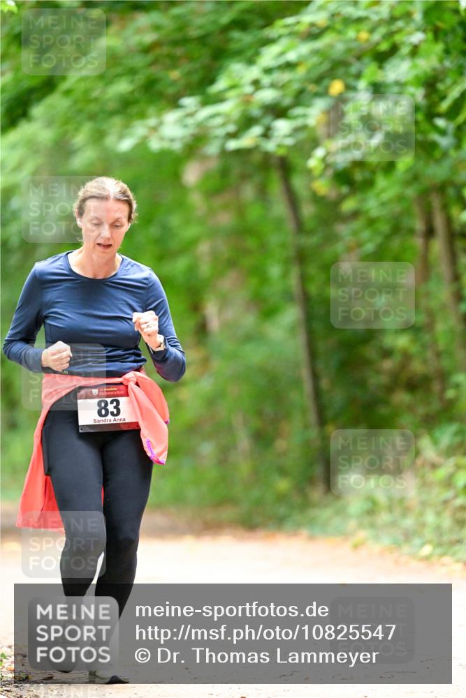 11.10.2026 - Bramfelder Halbmarathon 2026 Dr. Thomas Lammeyer http://msf.ph/oto/10825547 11.10.2026 10:50:25 Laufen 35, 83 meine-sportfotos.de