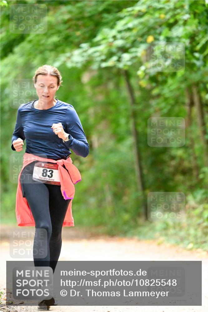 11.10.2026 - Bramfelder Halbmarathon 2026 Dr. Thomas Lammeyer http://msf.ph/oto/10825548 11.10.2026 10:50:25 Laufen 83 meine-sportfotos.de