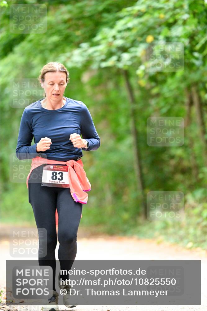 11.10.2026 - Bramfelder Halbmarathon 2026 Dr. Thomas Lammeyer http://msf.ph/oto/10825550 11.10.2026 10:50:26 Laufen 90, 83 meine-sportfotos.de