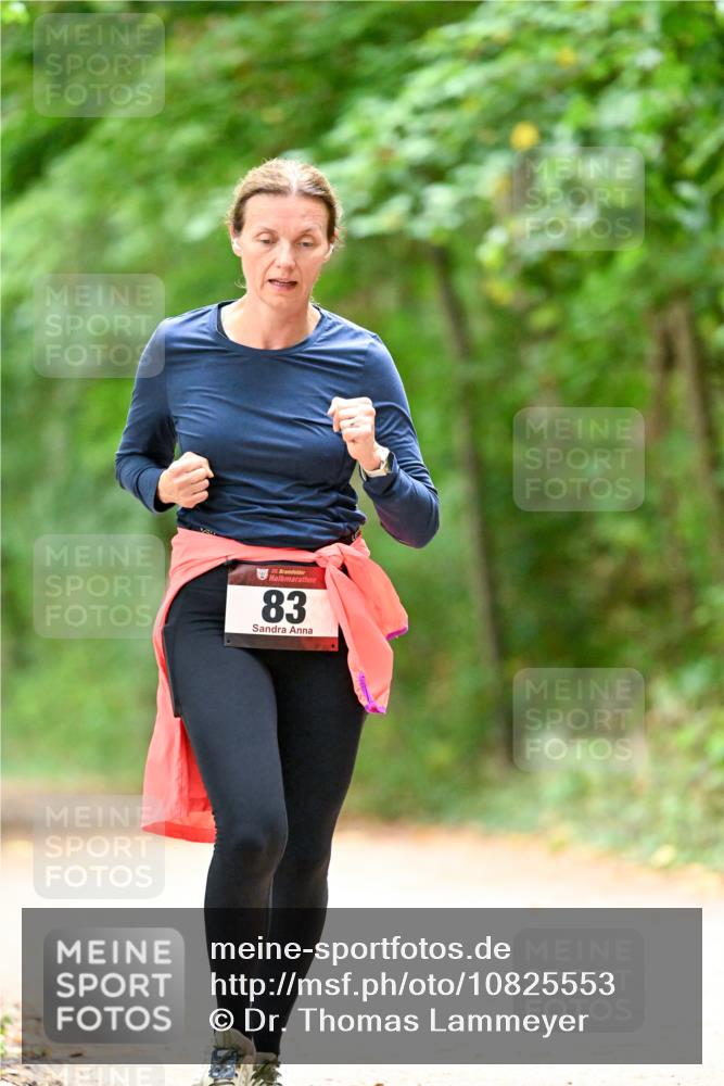 11.10.2026 - Bramfelder Halbmarathon 2026 Dr. Thomas Lammeyer http://msf.ph/oto/10825553 11.10.2026 10:50:26 Laufen 35, 83 meine-sportfotos.de