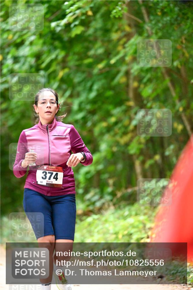 11.10.2026 - Bramfelder Halbmarathon 2026 Dr. Thomas Lammeyer http://msf.ph/oto/10825556 11.10.2026 10:50:29 Laufen 5, 374, 82 meine-sportfotos.de