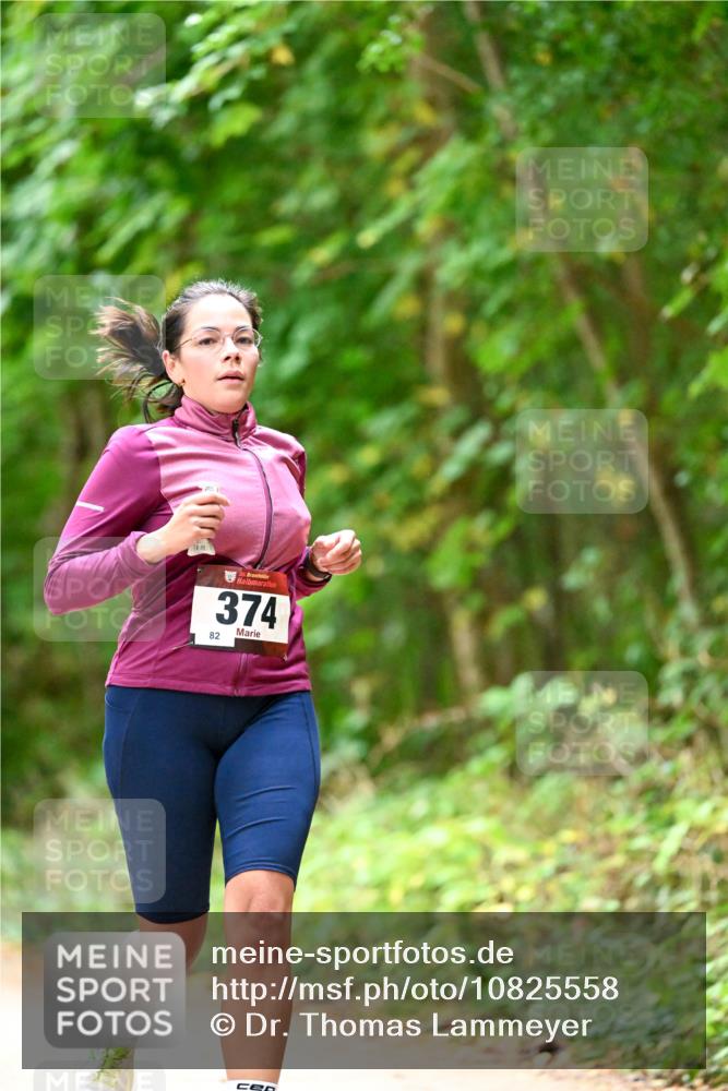 11.10.2026 - Bramfelder Halbmarathon 2026 Dr. Thomas Lammeyer http://msf.ph/oto/10825558 11.10.2026 10:50:29 Laufen 82, 35, 374 meine-sportfotos.de