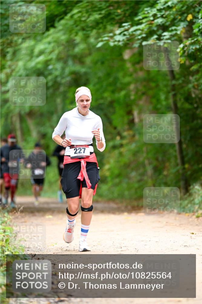 11.10.2026 - Bramfelder Halbmarathon 2026 Dr. Thomas Lammeyer http://msf.ph/oto/10825564 11.10.2026 10:50:31 Laufen 227 meine-sportfotos.de