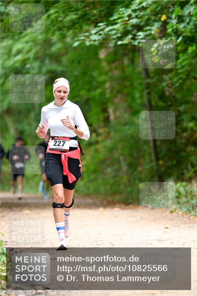 11.10.2026 - Bramfelder Halbmarathon 2026 Dr. Thomas Lammeyer http://msf.ph/oto/10825566 11.10.2026 10:50:31 Laufen 227 meine-sportfotos.de