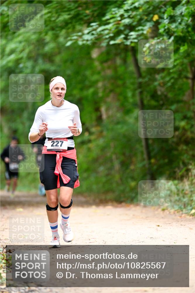 11.10.2026 - Bramfelder Halbmarathon 2026 Dr. Thomas Lammeyer http://msf.ph/oto/10825567 11.10.2026 10:50:32 Laufen 227 meine-sportfotos.de