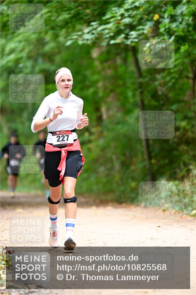 11.10.2026 - Bramfelder Halbmarathon 2026 Dr. Thomas Lammeyer http://msf.ph/oto/10825568 11.10.2026 10:50:32 Laufen 227 meine-sportfotos.de