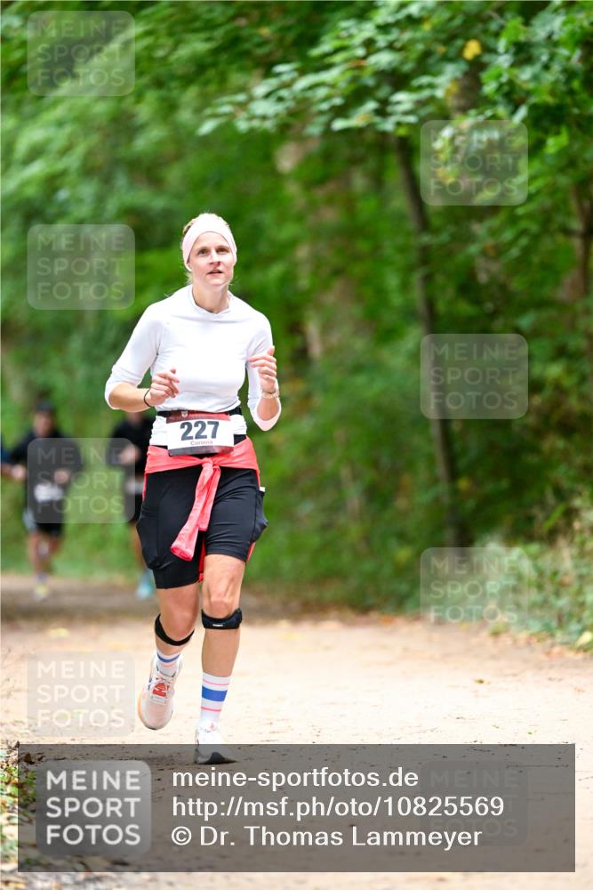 11.10.2026 - Bramfelder Halbmarathon 2026 Dr. Thomas Lammeyer http://msf.ph/oto/10825569 11.10.2026 10:50:32 Laufen 227 meine-sportfotos.de