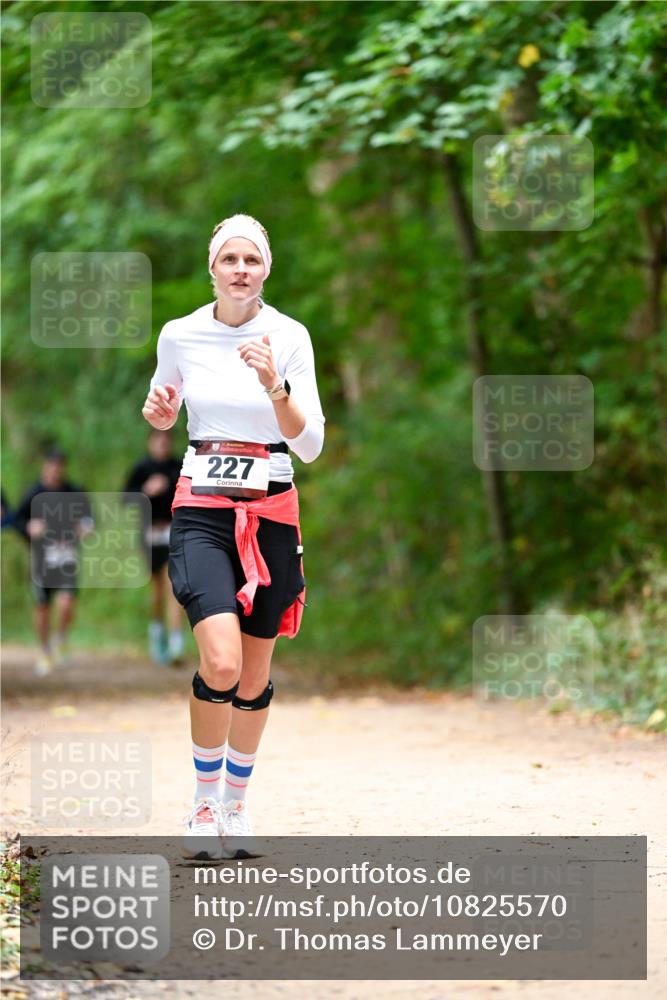 11.10.2026 - Bramfelder Halbmarathon 2026 Dr. Thomas Lammeyer http://msf.ph/oto/10825570 11.10.2026 10:50:32 Laufen 227 meine-sportfotos.de