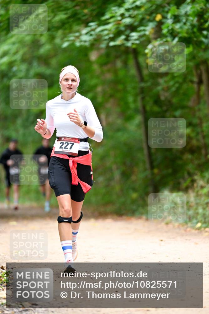 11.10.2026 - Bramfelder Halbmarathon 2026 Dr. Thomas Lammeyer http://msf.ph/oto/10825571 11.10.2026 10:50:32 Laufen 227 meine-sportfotos.de