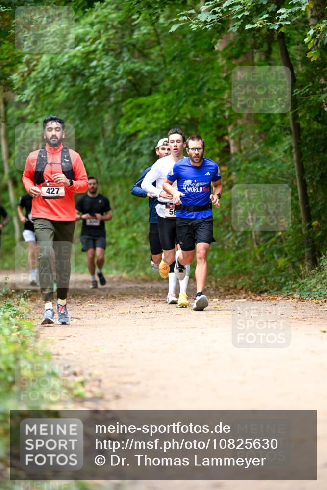 11.10.2026 - Bramfelder Halbmarathon 2026 Dr. Thomas Lammeyer http://msf.ph/oto/10825630 11.10.2026 10:50:47 Laufen 427, 13000, 59 meine-sportfotos.de