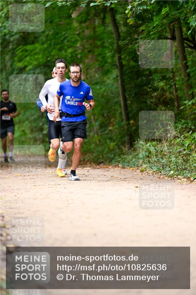 11.10.2026 - Bramfelder Halbmarathon 2026 Dr. Thomas Lammeyer http://msf.ph/oto/10825636 11.10.2026 10:50:47 Laufen  meine-sportfotos.de