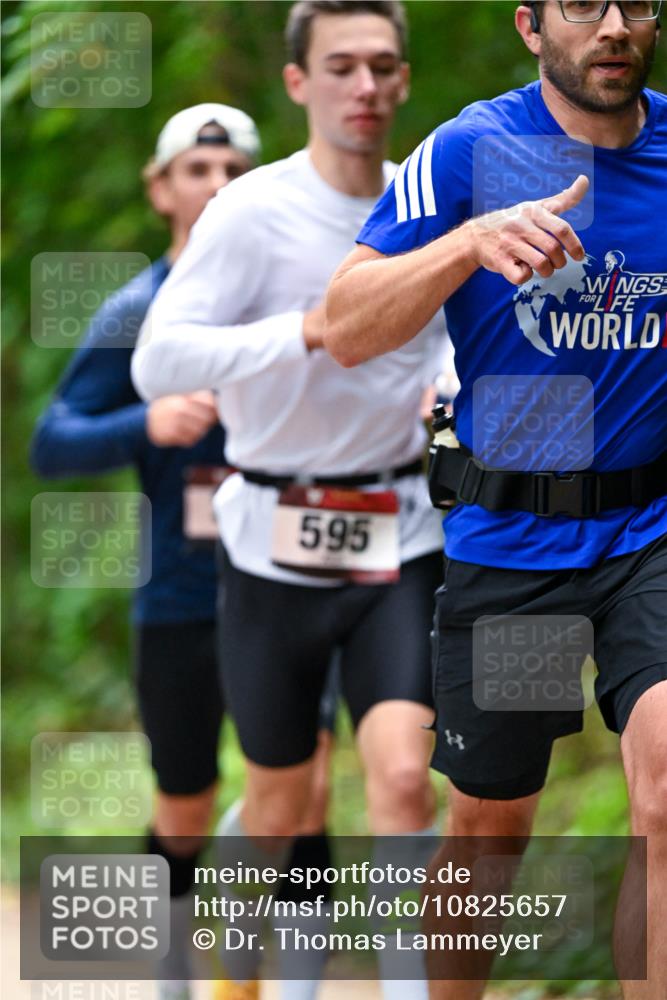 11.10.2026 - Bramfelder Halbmarathon 2026 Dr. Thomas Lammeyer http://msf.ph/oto/10825657 11.10.2026 10:50:52 Laufen 595 meine-sportfotos.de