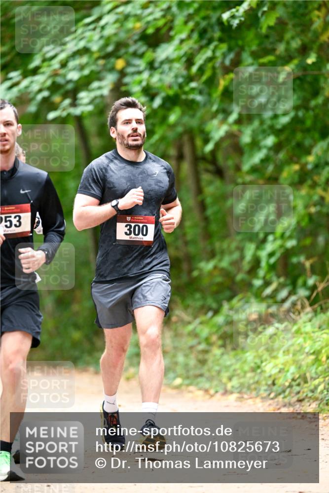 11.10.2026 - Bramfelder Halbmarathon 2026 Dr. Thomas Lammeyer http://msf.ph/oto/10825673 11.10.2026 10:50:56 Laufen 53, 300 meine-sportfotos.de