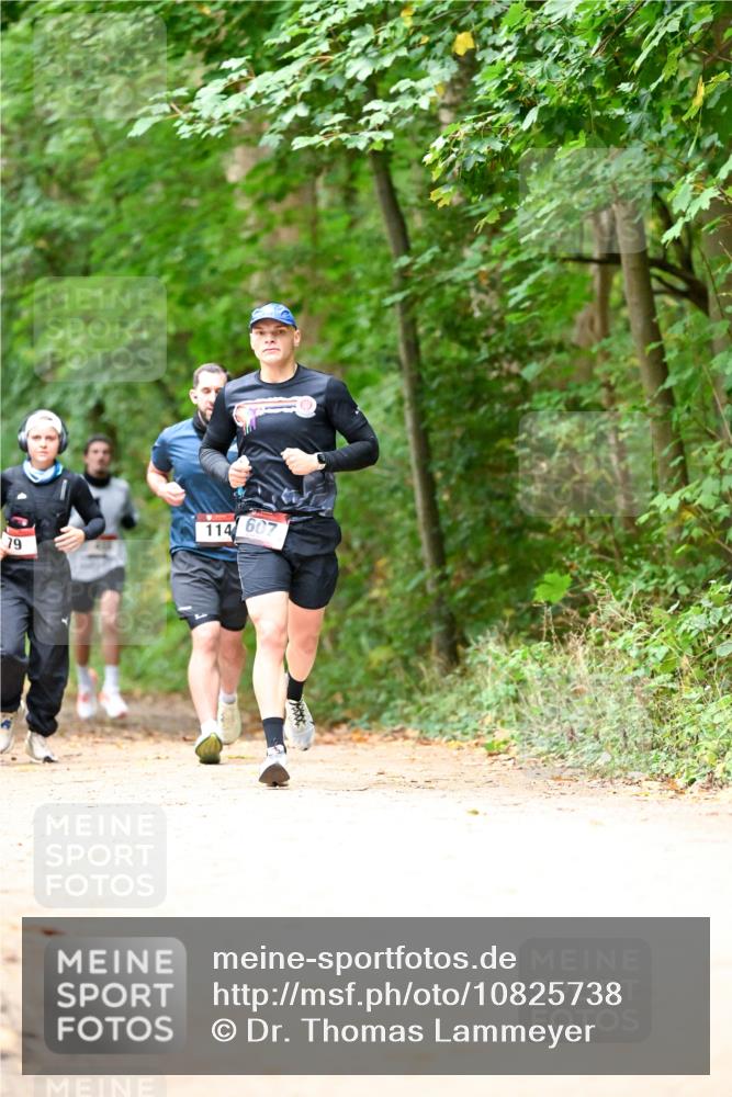 11.10.2026 - Bramfelder Halbmarathon 2026 Dr. Thomas Lammeyer http://msf.ph/oto/10825738 11.10.2026 10:51:19 Laufen 79, 114, 607 meine-sportfotos.de