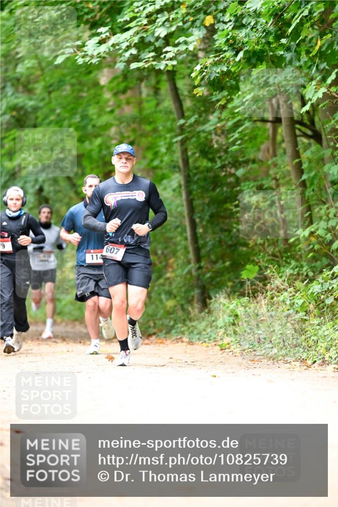 11.10.2026 - Bramfelder Halbmarathon 2026 Dr. Thomas Lammeyer http://msf.ph/oto/10825739 11.10.2026 10:51:19 Laufen 79, 114, 607 meine-sportfotos.de