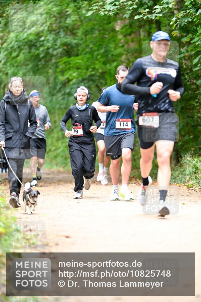 11.10.2026 - Bramfelder Halbmarathon 2026 Dr. Thomas Lammeyer http://msf.ph/oto/10825748 11.10.2026 10:51:20 Laufen 607, 45, 114, 79 meine-sportfotos.de