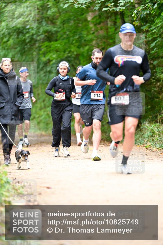 11.10.2026 - Bramfelder Halbmarathon 2026 Dr. Thomas Lammeyer http://msf.ph/oto/10825749 11.10.2026 10:51:21 Laufen 0, 45, 114, 607, 3 meine-sportfotos.de