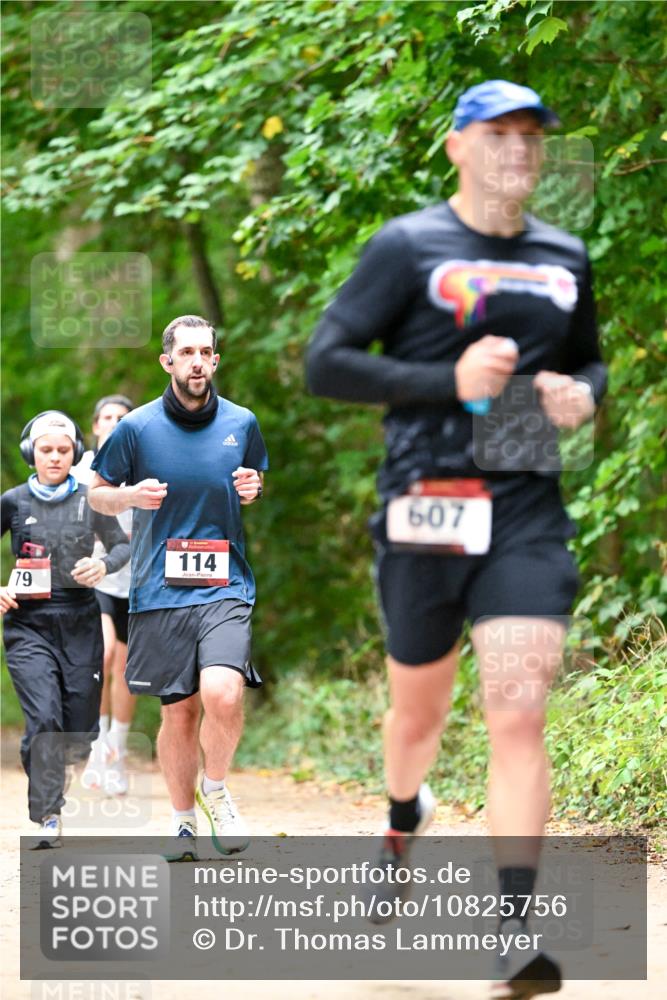 11.10.2026 - Bramfelder Halbmarathon 2026 Dr. Thomas Lammeyer http://msf.ph/oto/10825756 11.10.2026 10:51:22 Laufen 79, 114, 607 meine-sportfotos.de