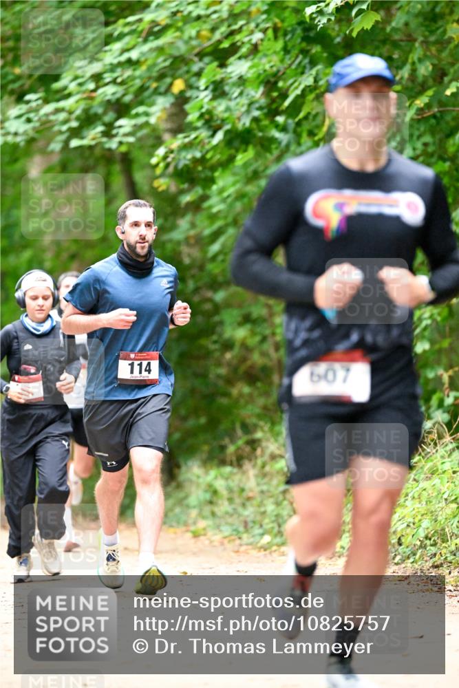 11.10.2026 - Bramfelder Halbmarathon 2026 Dr. Thomas Lammeyer http://msf.ph/oto/10825757 11.10.2026 10:51:22 Laufen 114, 607 meine-sportfotos.de