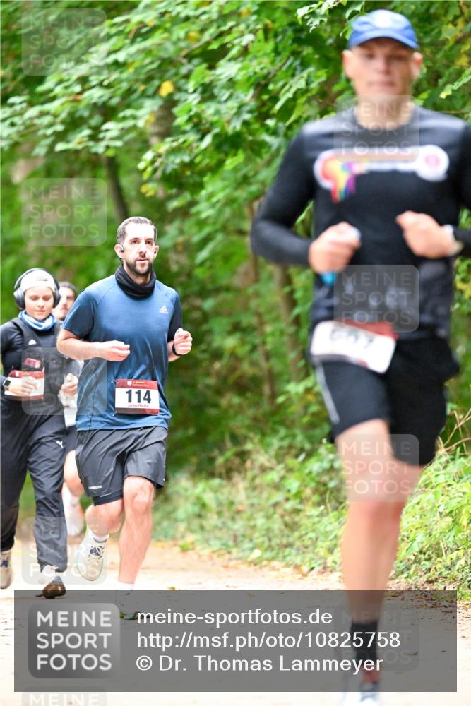 11.10.2026 - Bramfelder Halbmarathon 2026 Dr. Thomas Lammeyer http://msf.ph/oto/10825758 11.10.2026 10:51:22 Laufen 114, 642 meine-sportfotos.de