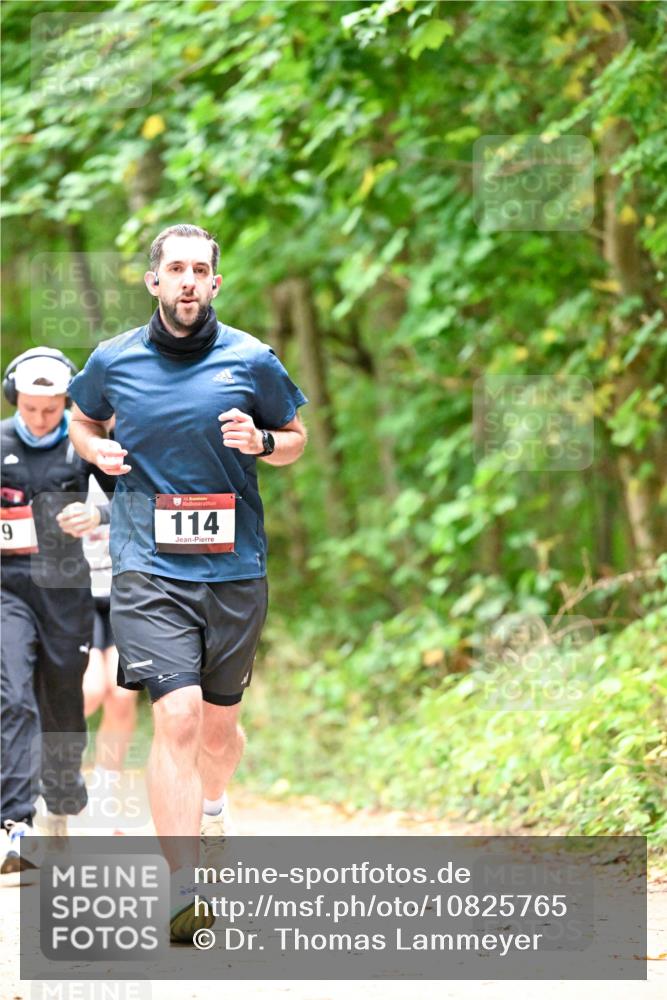 11.10.2026 - Bramfelder Halbmarathon 2026 Dr. Thomas Lammeyer http://msf.ph/oto/10825765 11.10.2026 10:51:23 Laufen 9, 35, 114 meine-sportfotos.de