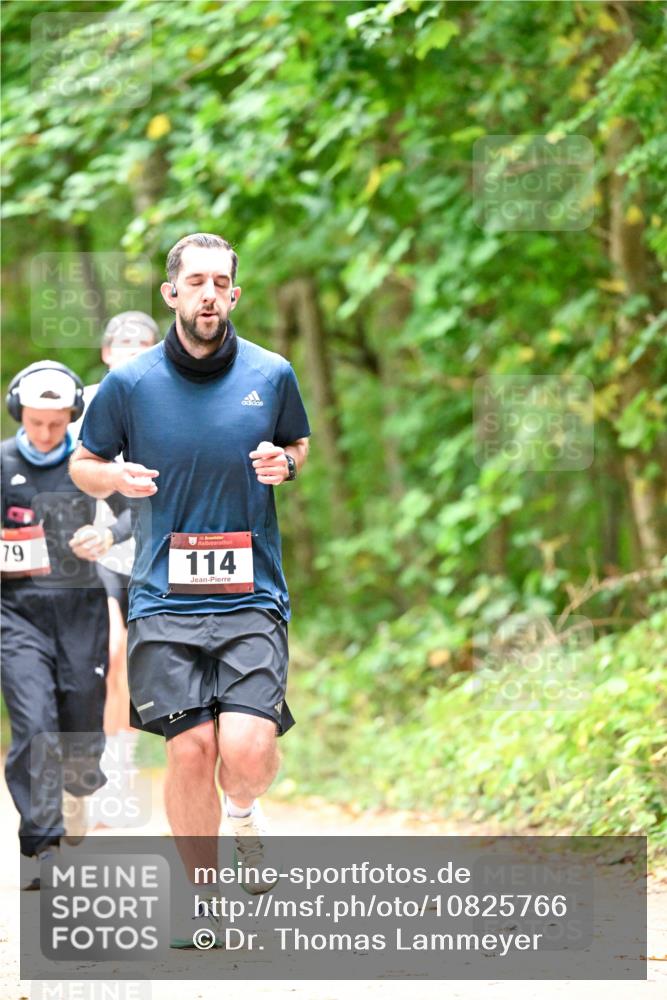 11.10.2026 - Bramfelder Halbmarathon 2026 Dr. Thomas Lammeyer http://msf.ph/oto/10825766 11.10.2026 10:51:23 Laufen 79, 135, 114 meine-sportfotos.de
