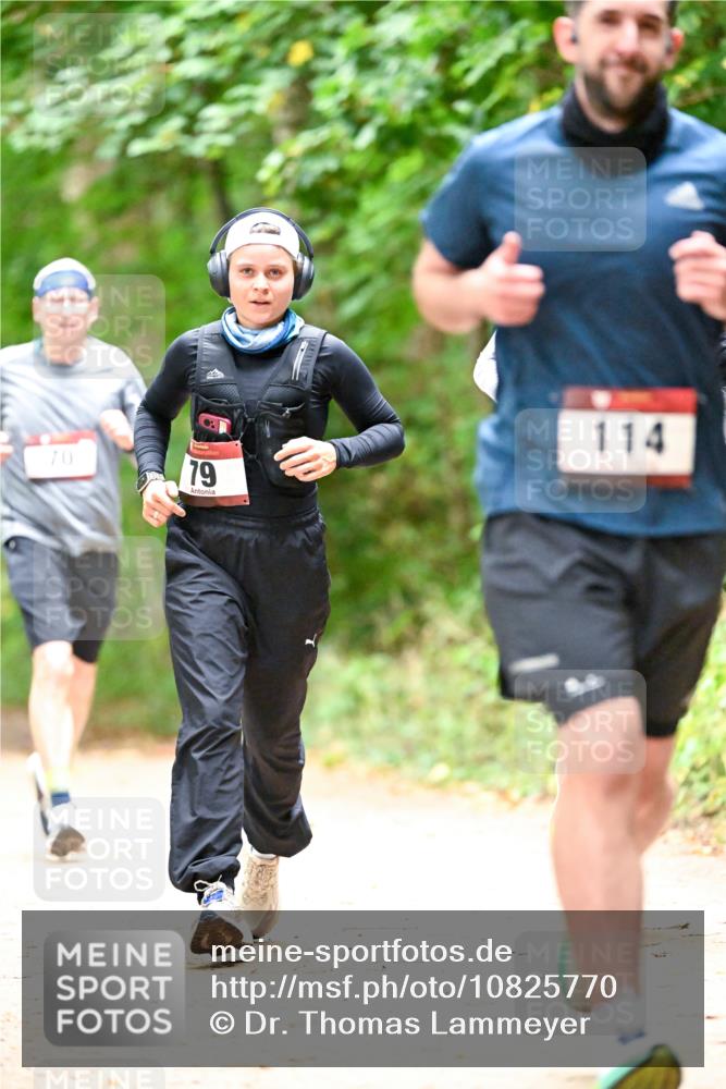 11.10.2026 - Bramfelder Halbmarathon 2026 Dr. Thomas Lammeyer http://msf.ph/oto/10825770 11.10.2026 10:51:25 Laufen 70, 79, 114 meine-sportfotos.de