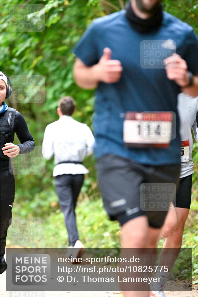 11.10.2026 - Bramfelder Halbmarathon 2026 Dr. Thomas Lammeyer http://msf.ph/oto/10825775 11.10.2026 10:51:25 Laufen 114, 16 meine-sportfotos.de