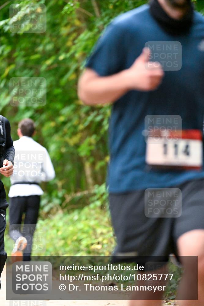 11.10.2026 - Bramfelder Halbmarathon 2026 Dr. Thomas Lammeyer http://msf.ph/oto/10825777 11.10.2026 10:51:25 Laufen 114 meine-sportfotos.de