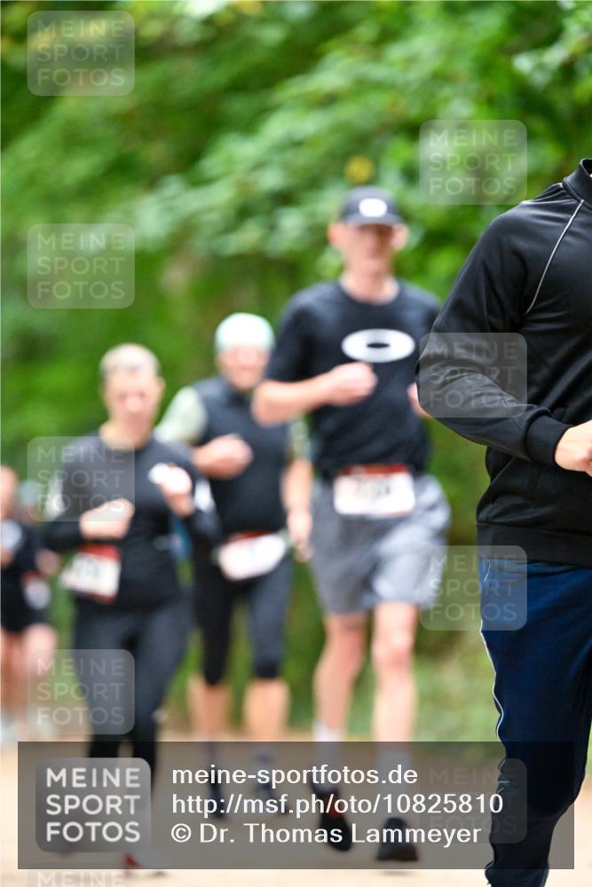 11.10.2026 - Bramfelder Halbmarathon 2026 Dr. Thomas Lammeyer http://msf.ph/oto/10825810 11.10.2026 10:51:38 Laufen  meine-sportfotos.de