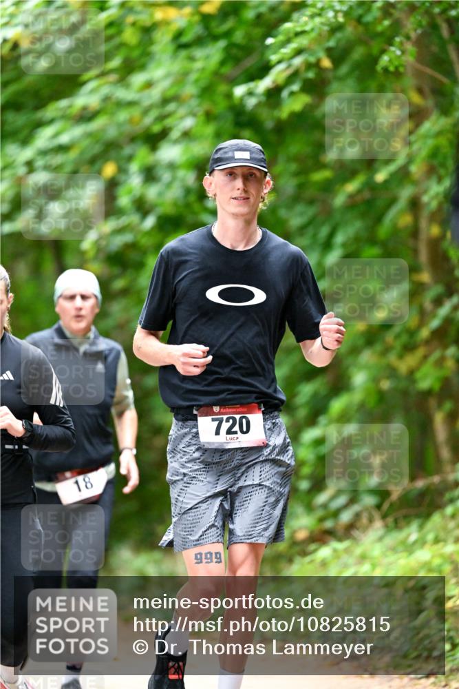 11.10.2026 - Bramfelder Halbmarathon 2026 Dr. Thomas Lammeyer http://msf.ph/oto/10825815 11.10.2026 10:51:38 Laufen 18, 720, 999 meine-sportfotos.de