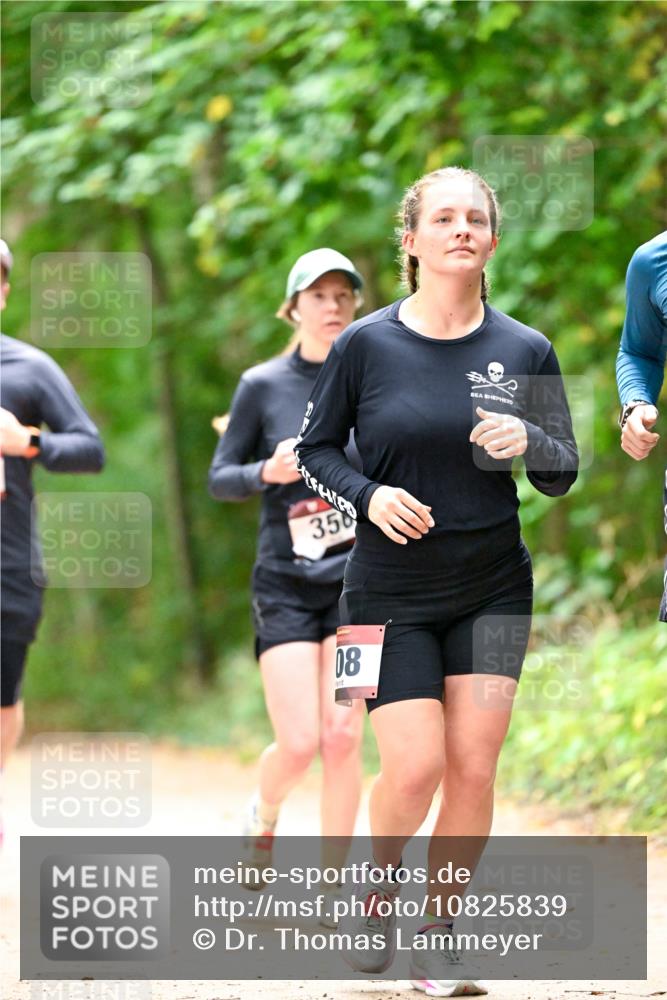 11.10.2026 - Bramfelder Halbmarathon 2026 Dr. Thomas Lammeyer http://msf.ph/oto/10825839 11.10.2026 10:51:44 Laufen 350, 08 meine-sportfotos.de