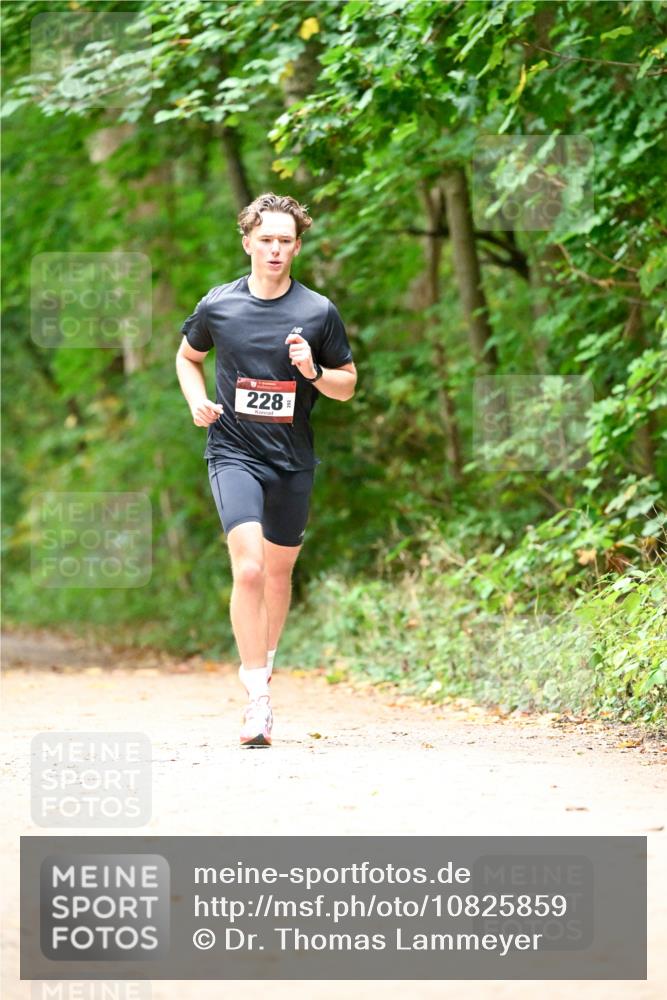 11.10.2026 - Bramfelder Halbmarathon 2026 Dr. Thomas Lammeyer http://msf.ph/oto/10825859 11.10.2026 10:51:52 Laufen 228 meine-sportfotos.de