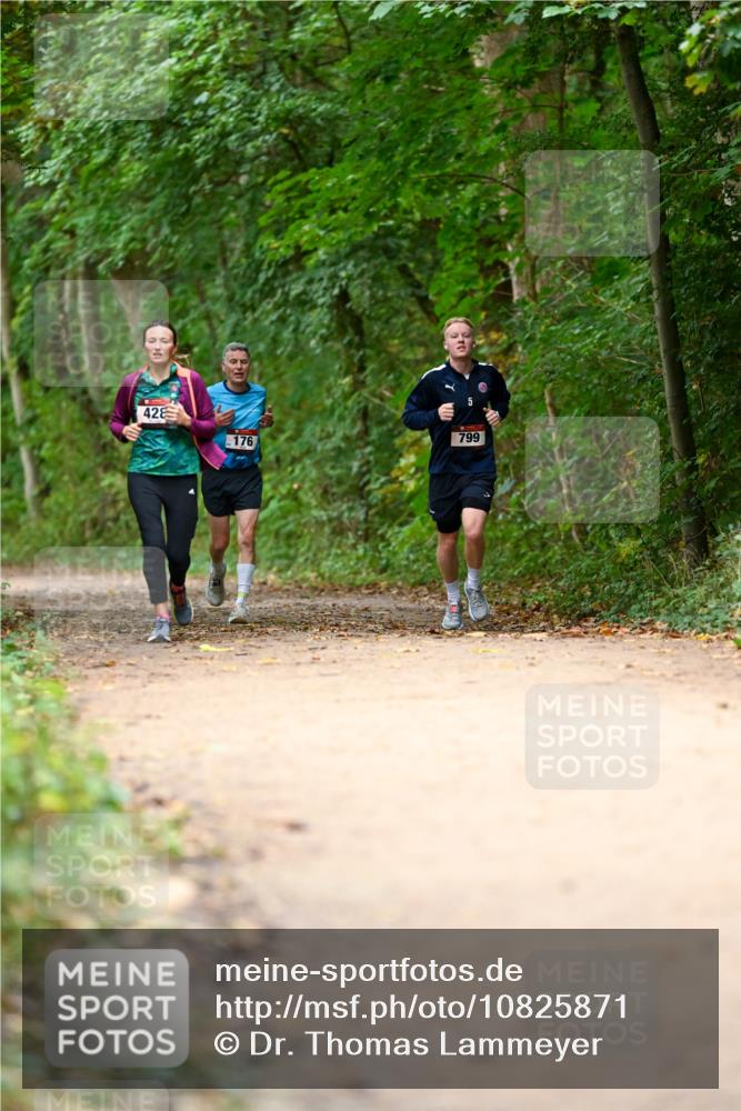 11.10.2026 - Bramfelder Halbmarathon 2026 Dr. Thomas Lammeyer http://msf.ph/oto/10825871 11.10.2026 10:51:59 Laufen 42, 799, 176 meine-sportfotos.de
