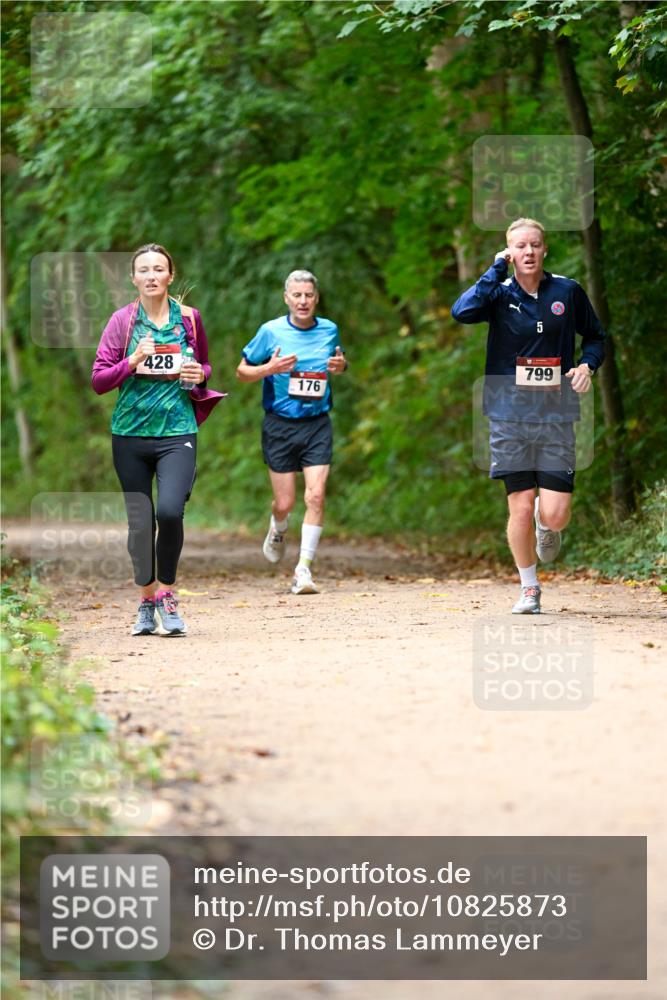 11.10.2026 - Bramfelder Halbmarathon 2026 Dr. Thomas Lammeyer http://msf.ph/oto/10825873 11.10.2026 10:52:02 Laufen 5, 428, 799, 176 meine-sportfotos.de