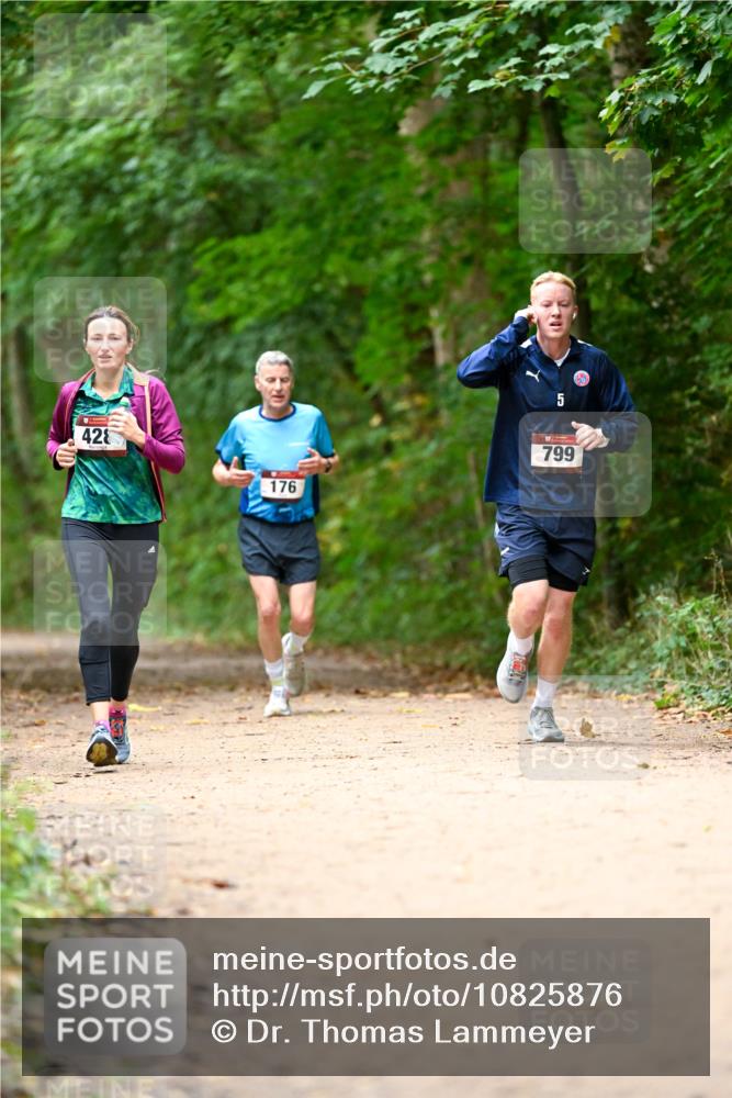 11.10.2026 - Bramfelder Halbmarathon 2026 Dr. Thomas Lammeyer http://msf.ph/oto/10825876 11.10.2026 10:52:02 Laufen 428, 176, 5, 799 meine-sportfotos.de