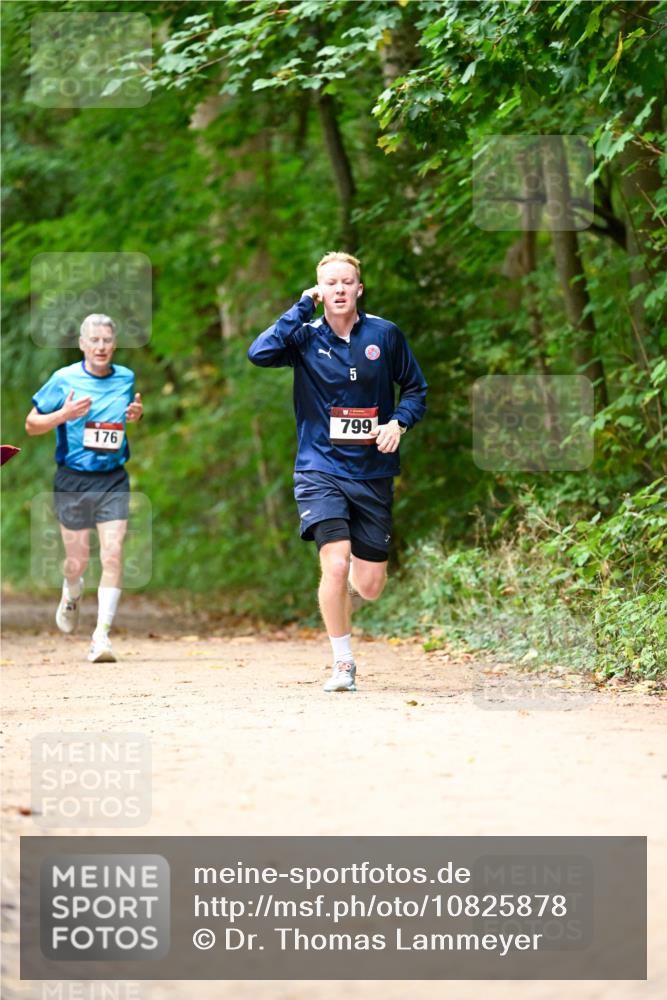 11.10.2026 - Bramfelder Halbmarathon 2026 Dr. Thomas Lammeyer http://msf.ph/oto/10825878 11.10.2026 10:52:02 Laufen 799, 176 meine-sportfotos.de